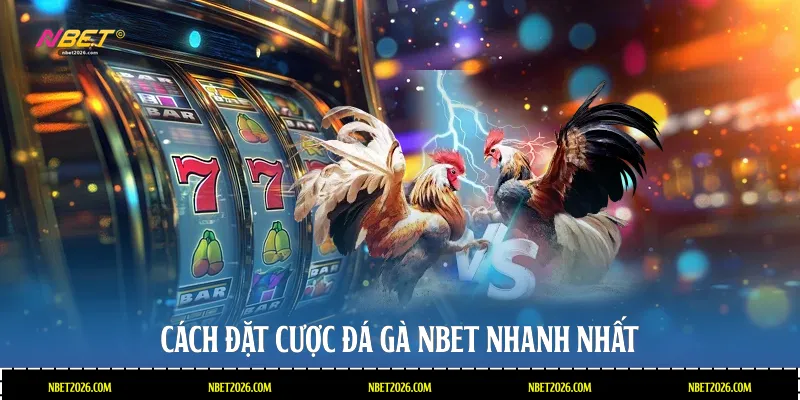 Cách đặt cược đá gà Nbet nhanh nhất