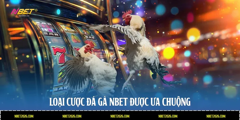 Loại cược đá gà Nbet được ưa chuộng