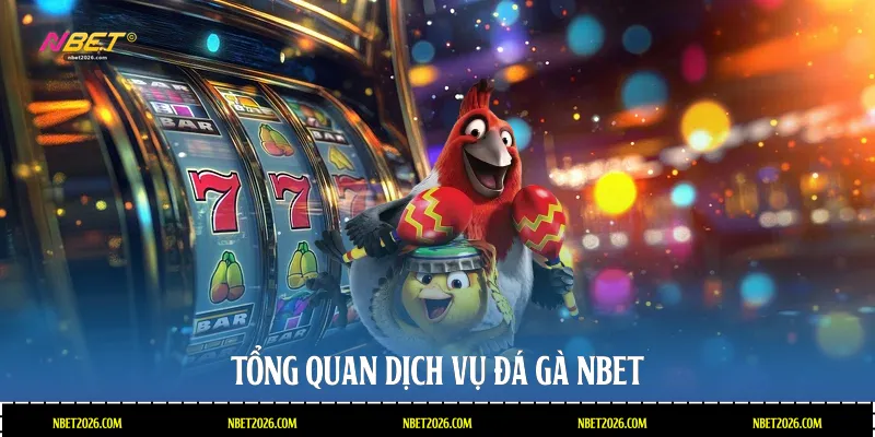 Tổng quan dịch vụ đá gà Nbet